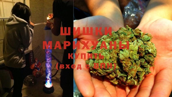 ПСИЛОЦИБИНОВЫЕ ГРИБЫ Балабаново