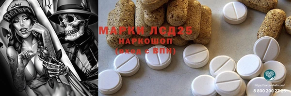 ПСИЛОЦИБИНОВЫЕ ГРИБЫ Балабаново
