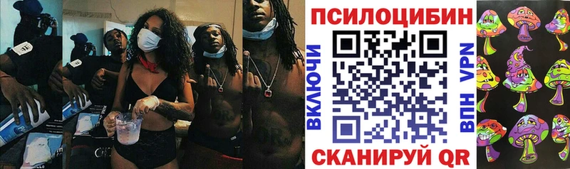 Псилоцибиновые грибы Psilocybine cubensis Белёв